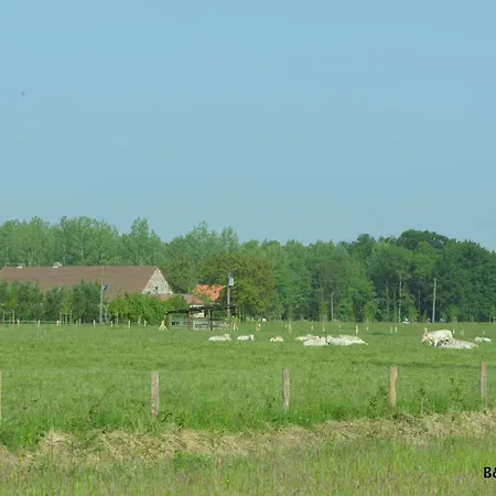 Luttelkolen