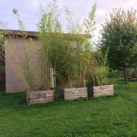 Luttelkolen Apartament
